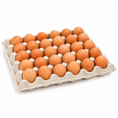 01F5DAE8-E273-4039-9F29-AA74DC900C12 Plateau d'oeuf x30