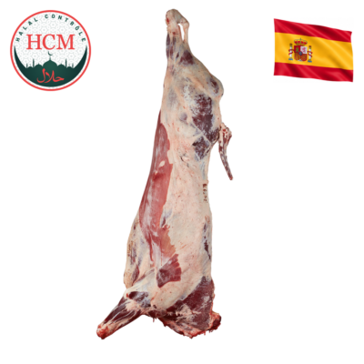 Carcasse de boeuf espagnol HALAL CONTROLE